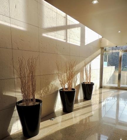 Acogedor Apartamento Con Terraza En Vera Dış mekan fotoğraf